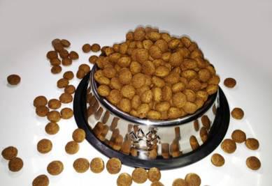 �й���ѧ�Ҹ��˴�����:�ý�ĸ�������޿����гɳ�