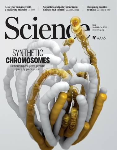 �й���ѧ�Ҹ��˴�����:�ý�ĸ�������޿����гɳ�