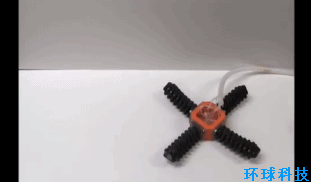 �����׸������������������Ԧ���ӵ��Ρ���̬�ȷ�