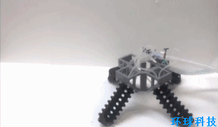 �����׸������������������Ԧ���ӵ��Ρ���̬�ȷ�