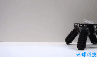 �����׸������������������Ԧ���ӵ��Ρ���̬�ȷ�