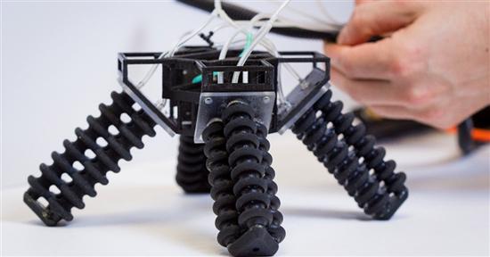 �����׸������������������Ԧ���ӵ��Ρ���̬�ȷ�