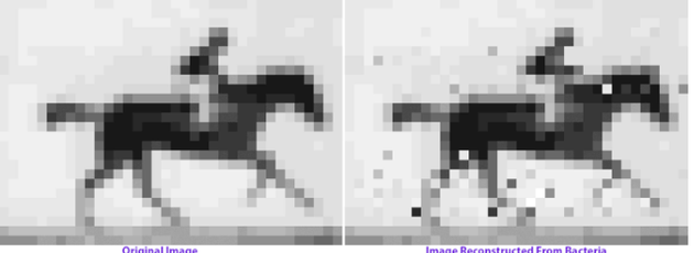 Ӳ�̹�ʱ�ǳ������ ����DNA���洢�ǲ���̫�ƻ��ˣ�