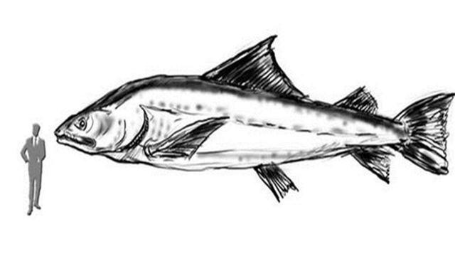 ����Դ�ڸ�ά�ȣ���ά�ȹ������壬��Խ�ձ���ڣ����޴�˵��֤��