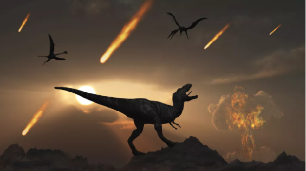 为什么蟑螂能在导致恐龙灭绝的小行星碰撞事件中幸存下来？