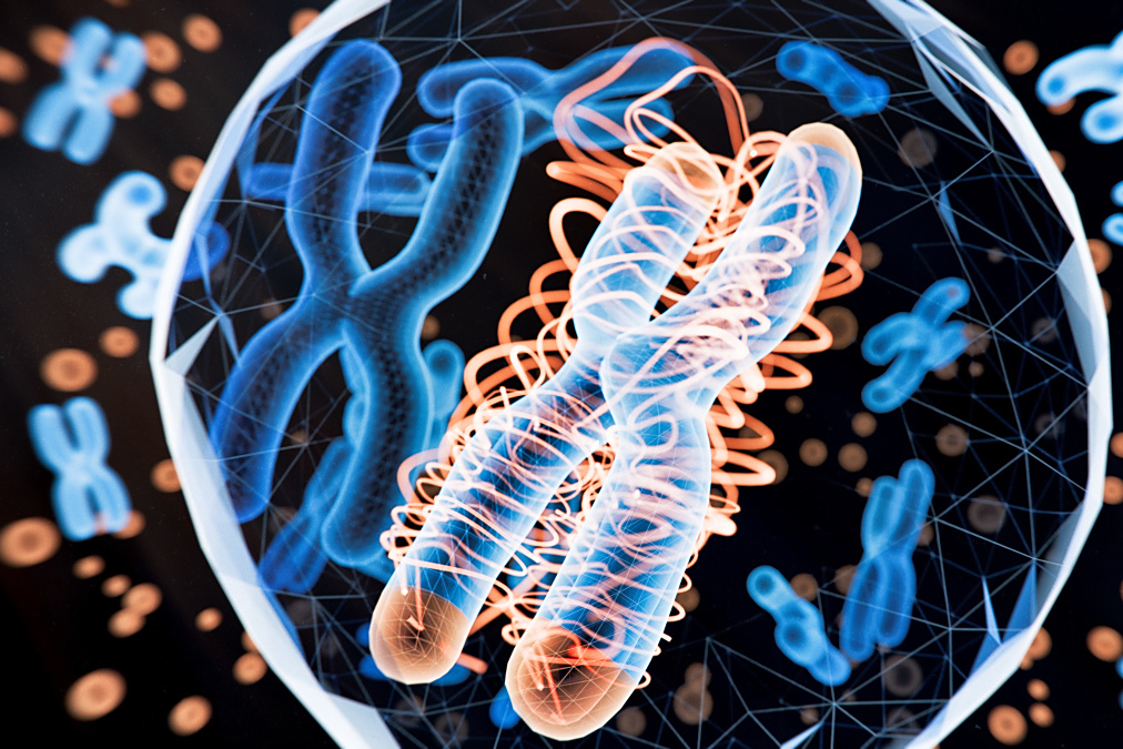 ������������DNA��1��DNA�������ܴ��������������������DNA�������˽ⲻ���ٷ�֮��