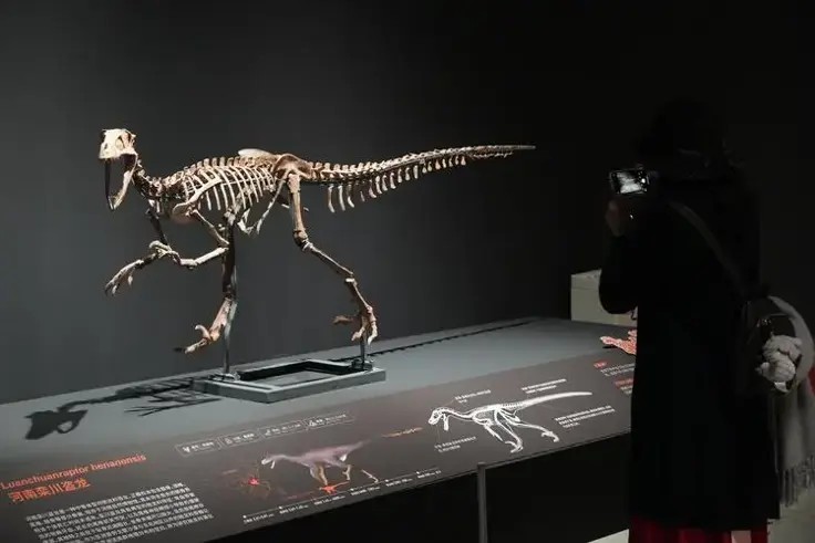 1.5������ʯ��2���������10����ͷ�ǣ��й�������������