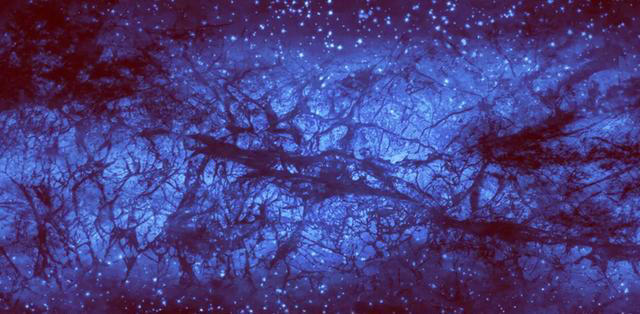 ��ά�ռ������Ĵ��ڣ���ѧ�ң�����������������������δ��֮��