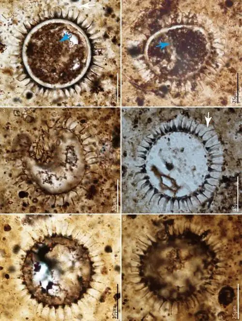 ��д����ʷ?21����ǰ,��������һ��������ά��������Ⱥ