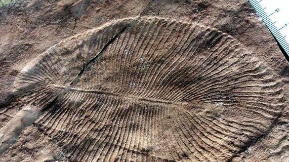 ��д����ʷ?21����ǰ,��������һ��������ά��������Ⱥ