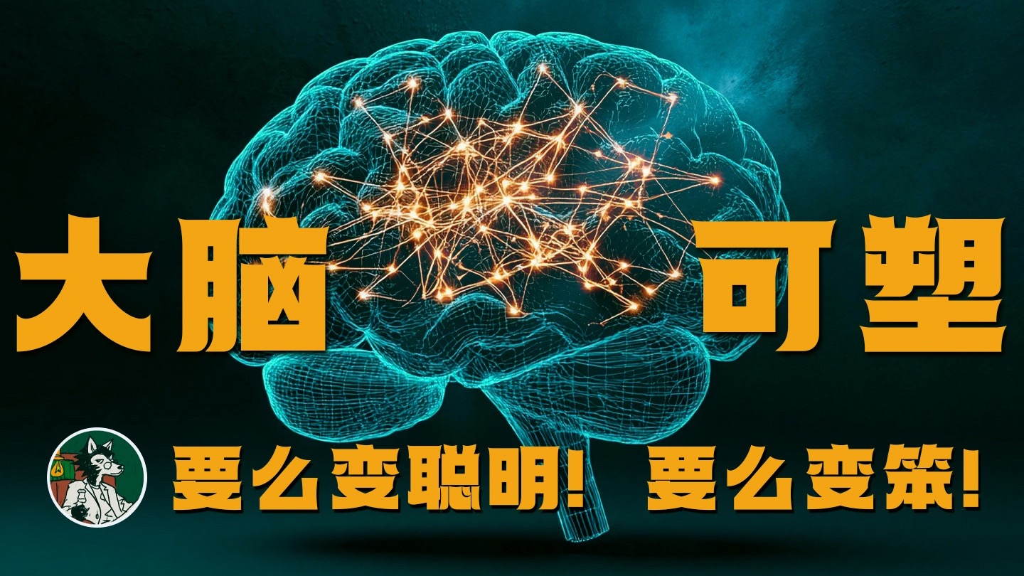 �����Ĵ��Բ�����ת�ı����һЩ