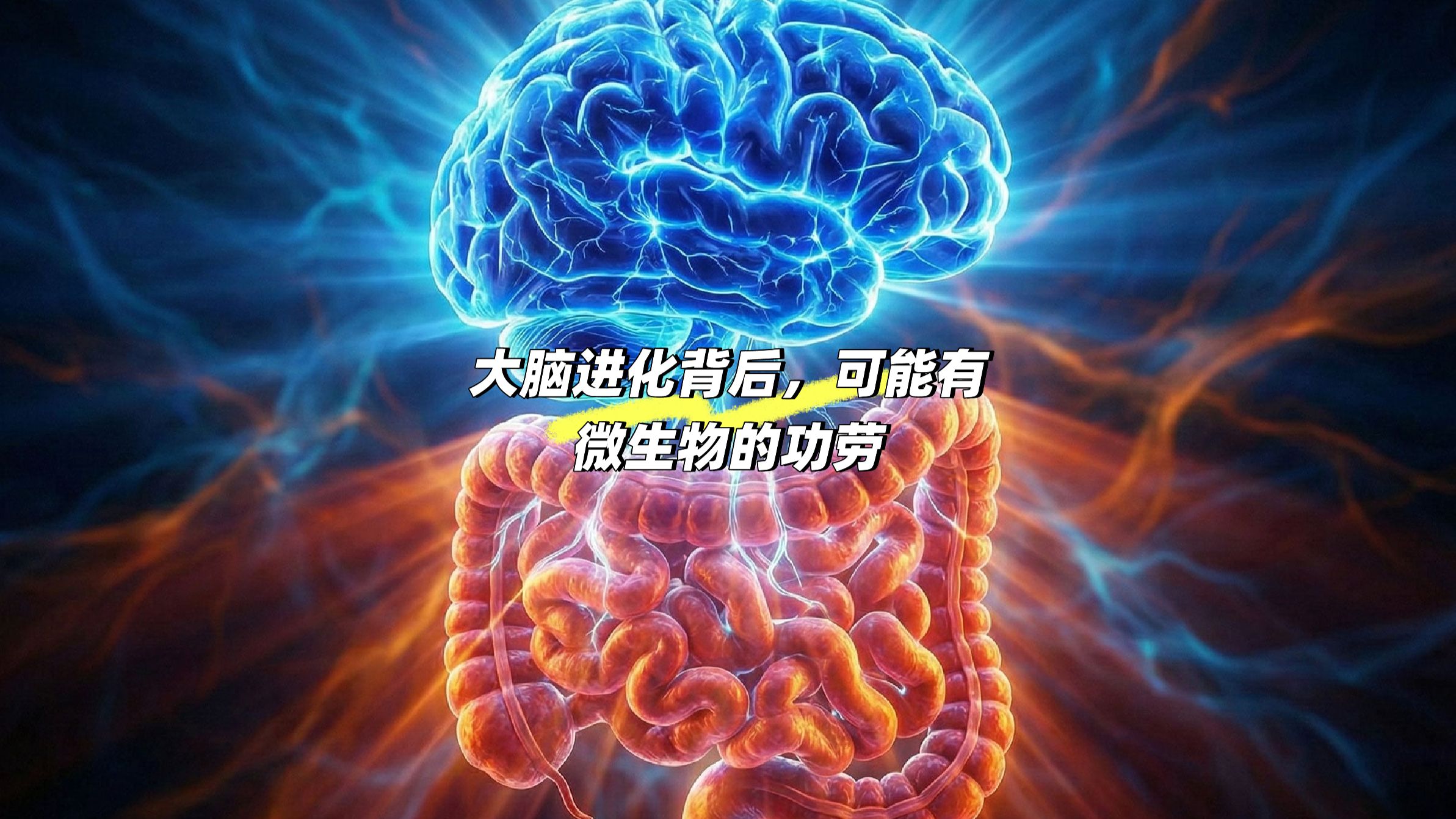 �����Ĵ��Բ�����ת�ı����һЩ