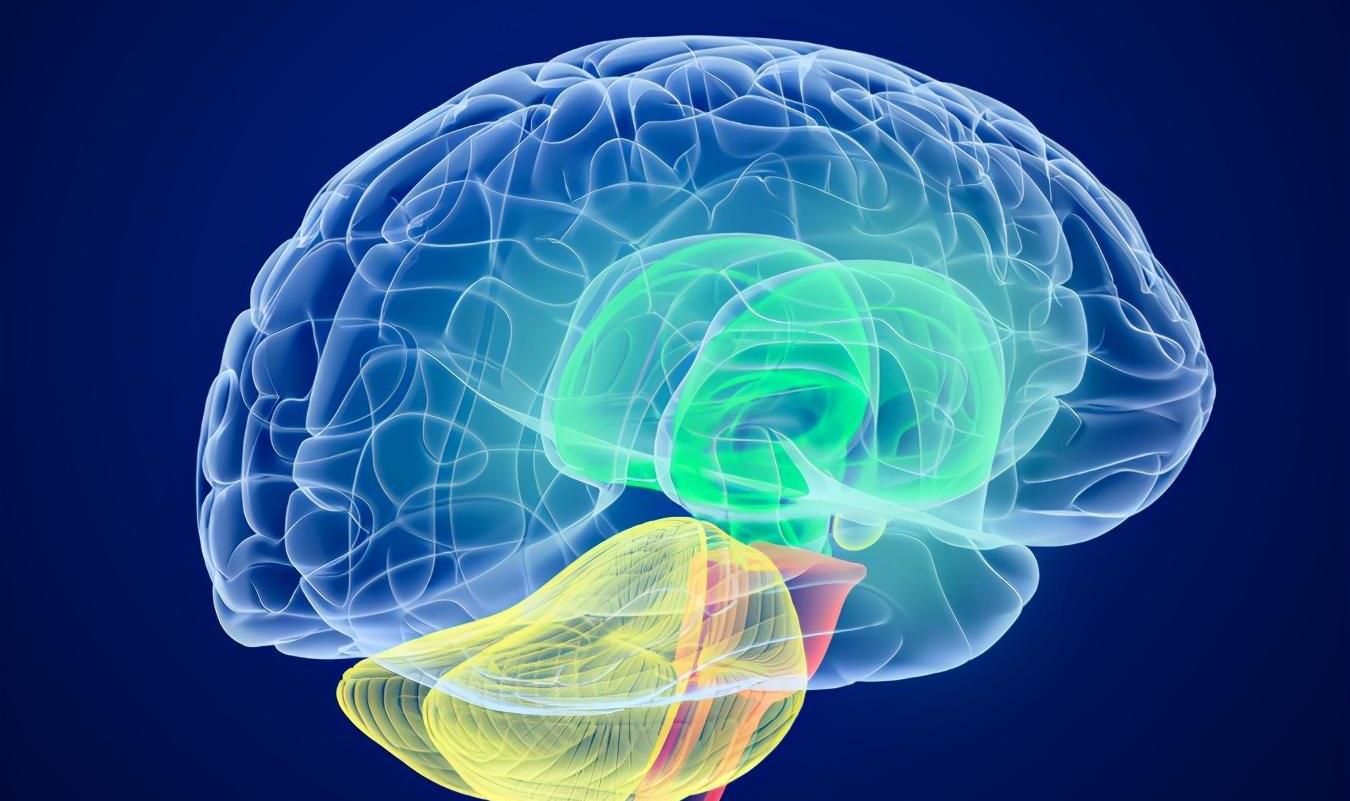 �����Ĵ��Բ�����ת�ı����һЩ