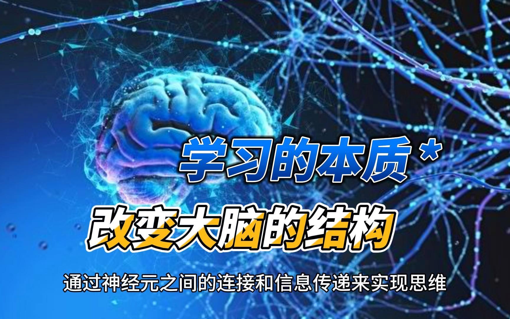 �����Ĵ��Բ�����ת�ı����һЩ