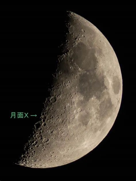 2025��5������Ԥ��