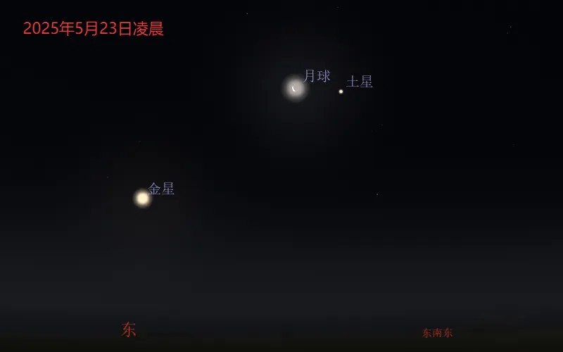 2025��5������Ԥ��