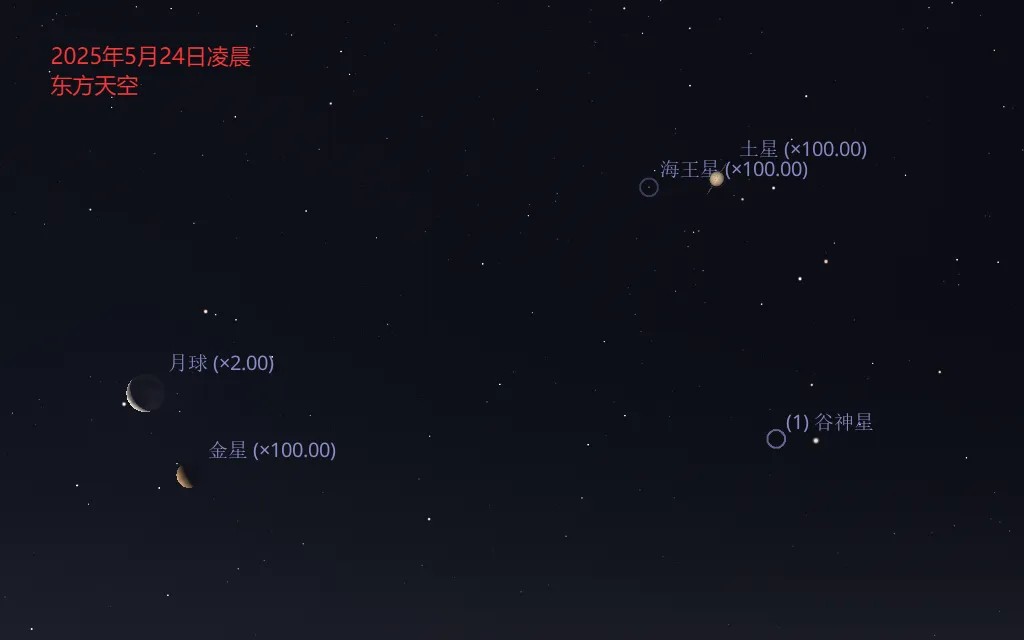 2025��5������Ԥ��