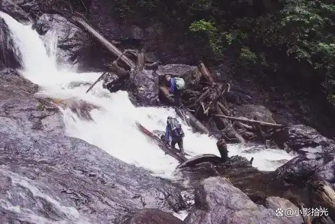 �й�����Ľ���Ĵ����񹵣�30��ƾ����ʧ�������ʯͷ�����