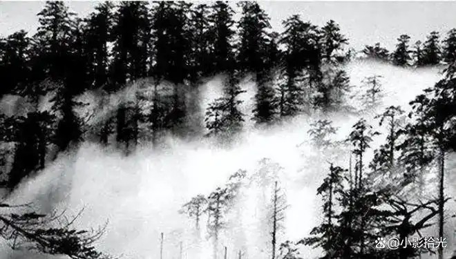 �й�����Ľ���Ĵ����񹵣�30��ƾ����ʧ�������ʯͷ�����