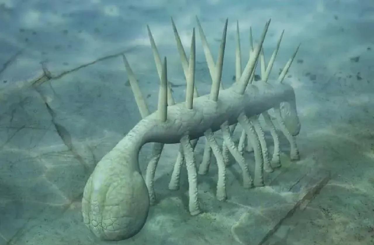 ��ѧ�Ҷ�������������50�꣬����ͬ��Сǿ�ʹ�բз������