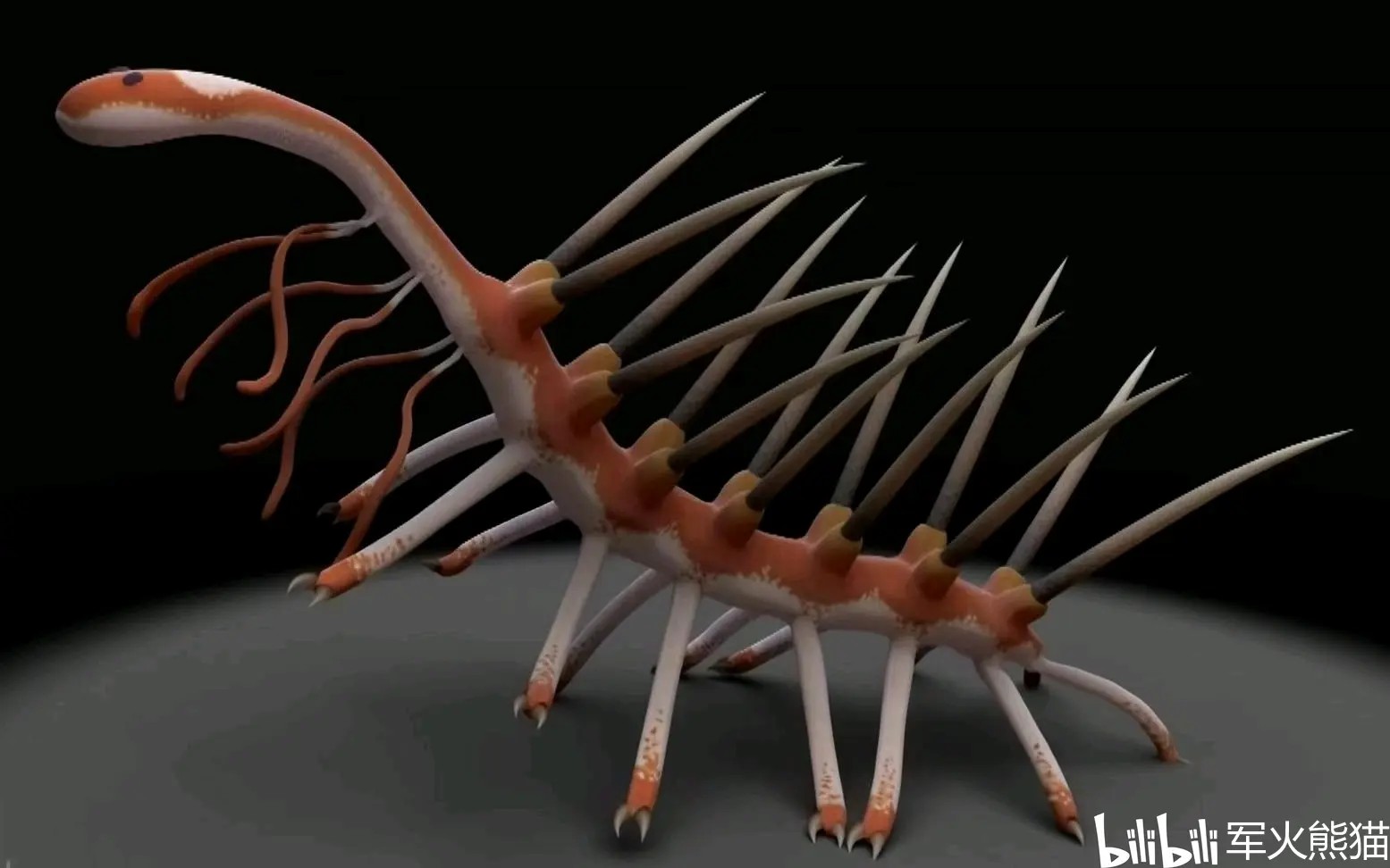 ��ѧ�Ҷ�������������50�꣬����ͬ��Сǿ�ʹ�բз������