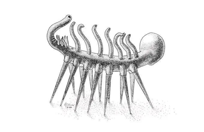 ��ѧ�Ҷ�������������50�꣬����ͬ��Сǿ�ʹ�բз������