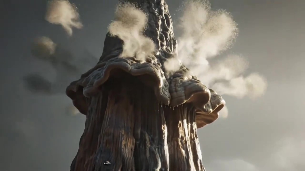 ��������֮ǰ������8�׸ߵ�Ģ��ͳ����5000���꣡