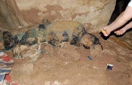 �ҿ�2005�꣬���Ĵ��ϳ䲻����ʬ�����¼���