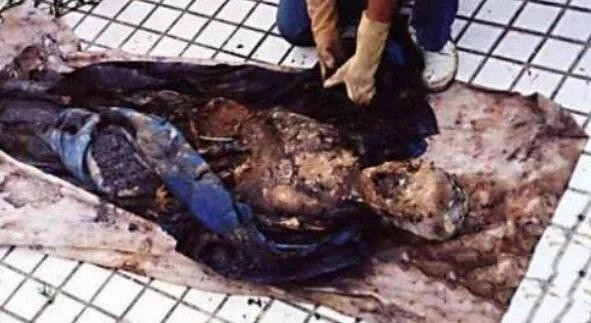 �ҿ�2005�꣬���Ĵ��ϳ䲻����ʬ�����¼���