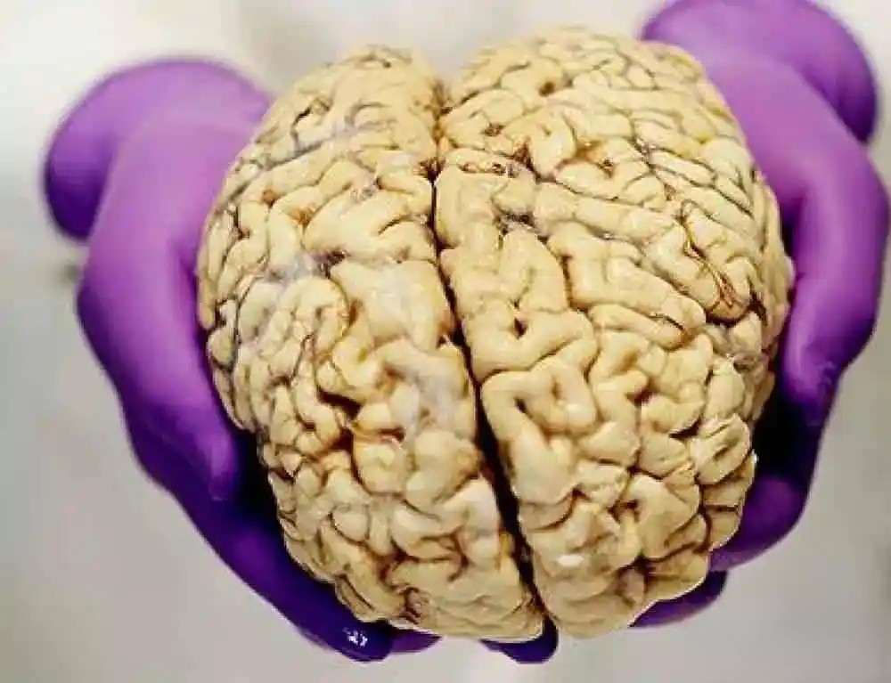 �����ʶ�Ƿ�Ϊ���ԵĲ�����ߴ���ֻ��һ��������