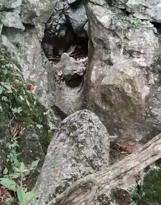 ����ɽ����ʯ�ˣ�ÿ�����ڵ���