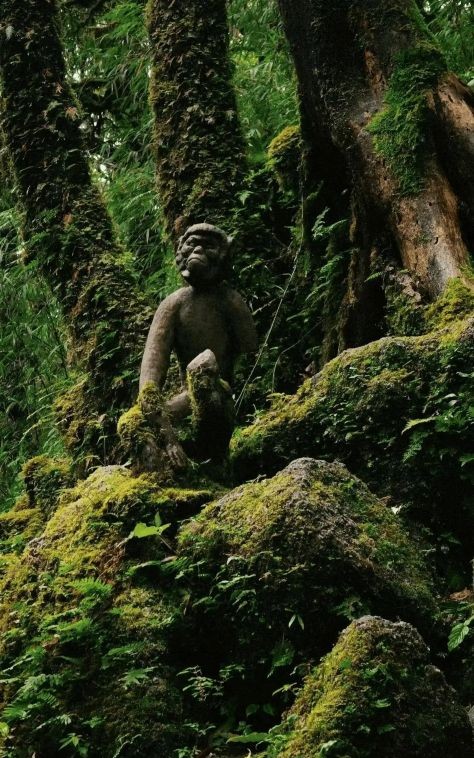 ����ɽ����ʯ�ˣ�ÿ�����ڵ���