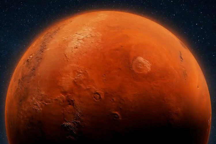 2029������10λ��ʿ�����ϻ���