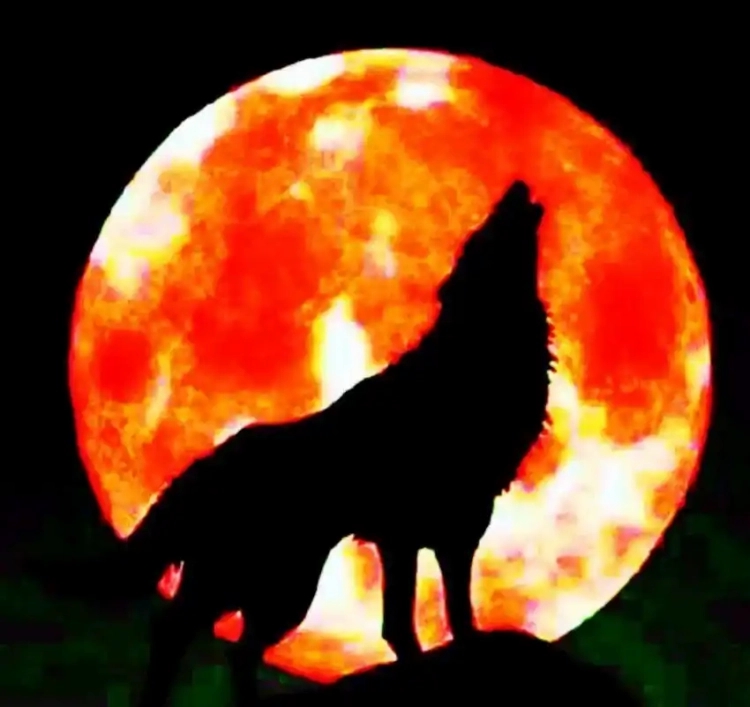 2026Ԫ���ڳ���Ѫ�£�������Σ�Ҫ�������꣡