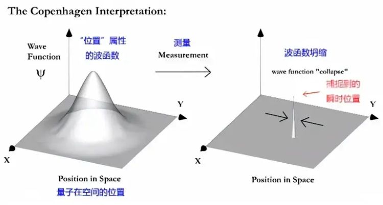 �������磬�۲���ΪΪʲô�ᵼ��̮��?