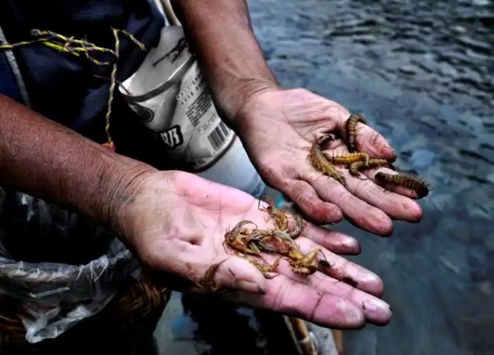 ��749��������⣬������Ů������ж�����أ�