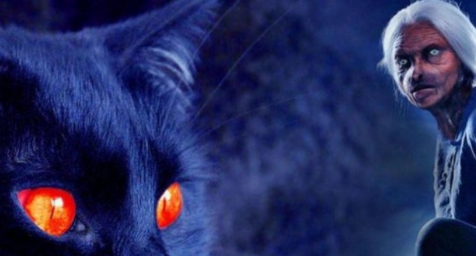 749�ֽ��أ�������è����̫�����¼�