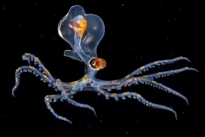 ������ǵ������������˵��������ؼ�֤����̱����֣���ѧ�ҵ���ػ��ɻ����������ȷ��