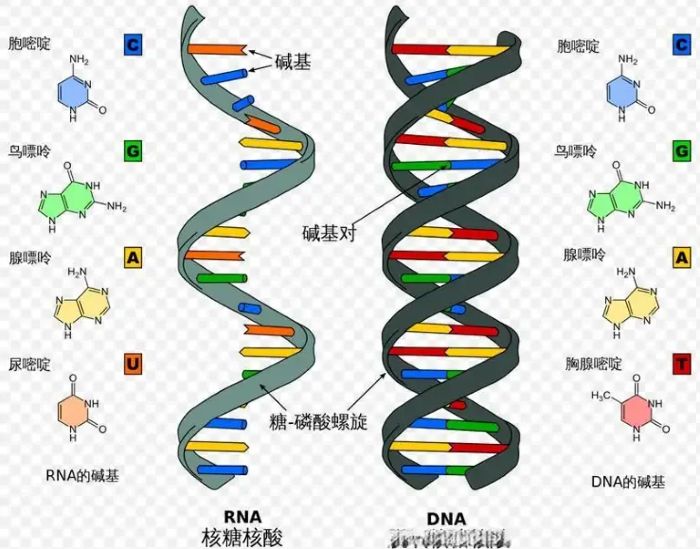 ������ǵ������������˵��������ؼ�֤����̱����֣���ѧ�ҵ���ػ��ɻ����������ȷ��