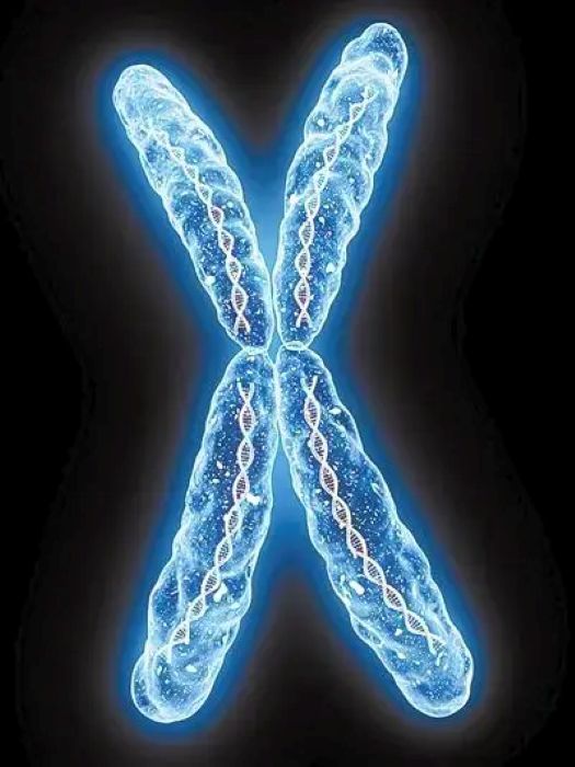 ������ǵ������������˵��������ؼ�֤����̱����֣���ѧ�ҵ���ػ��ɻ����������ȷ��