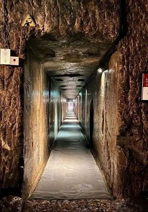 749�ֽ������ݹ�ɽ��Ĺ�������¼�