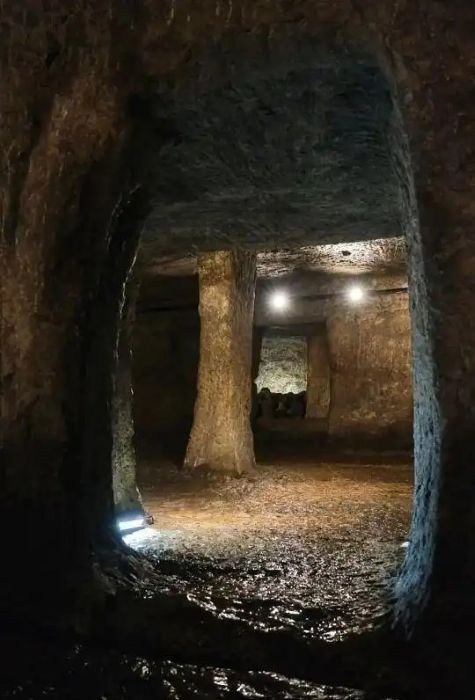 �������������������ܣ����ݹ�ɽ��Ĺ�˴�δ��֮��