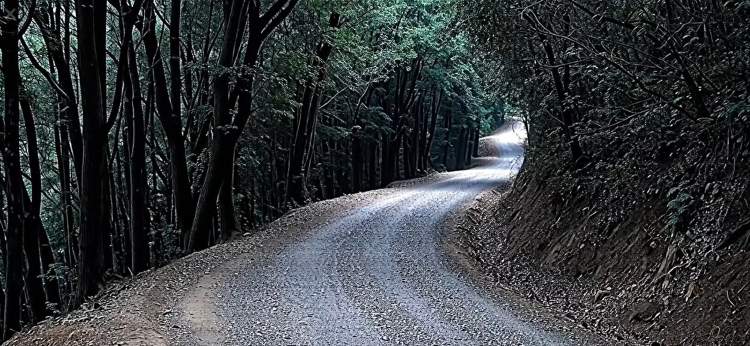 749 ���ܱ���������ǧ���ӡ�ɶ��������ټ����ѳ�Ԯ