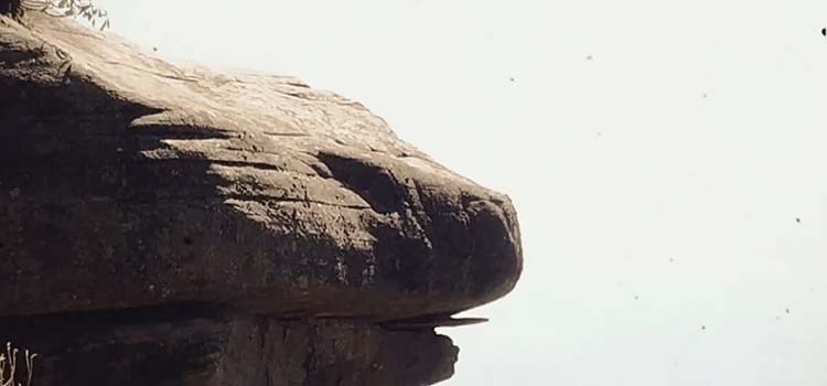 ��֪��������֮Լ����2049�������գ���Щ��������������ʯ����ӡ������ڵȰ���֮Լ���ڣ�