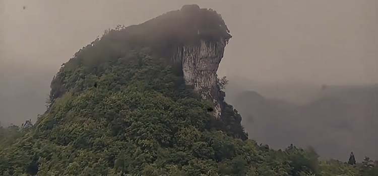 ��֪��������֮Լ����2049�������գ���Щ��������������ʯ����ӡ������ڵȰ���֮Լ���ڣ�