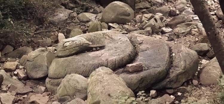 ��֪��������֮Լ����2049�������գ���Щ��������������ʯ����ӡ������ڵȰ���֮Լ���ڣ�