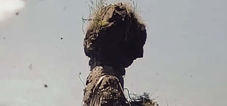 ��֪��������֮Լ����2049�������գ���Щ��������������ʯ����ӡ������ڵȰ���֮Լ���ڣ�