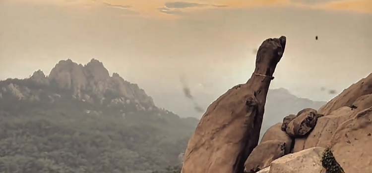 ��֪��������֮Լ����2049�������գ���Щ��������������ʯ����ӡ������ڵȰ���֮Լ���ڣ�