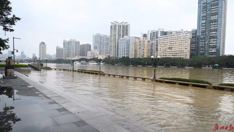 749��|���ݱ���  ˮ������